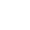 Software Development