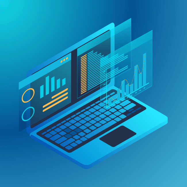 Custom Software Development & Integration